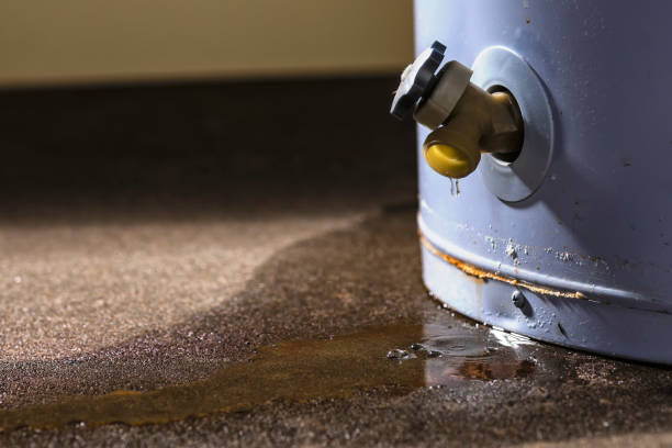 Best 24-hour water damage restoration  in Blue Hills, CT
