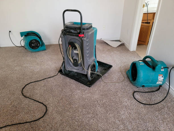 Best Flood restoration services  in Blue Hills, CT