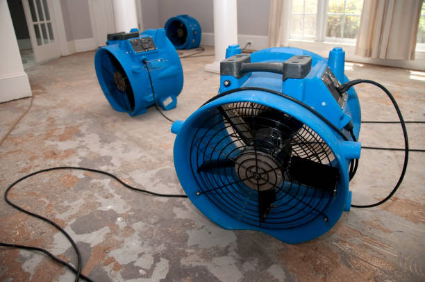 Best Mold removal after water damage  in Blue Hills, CT